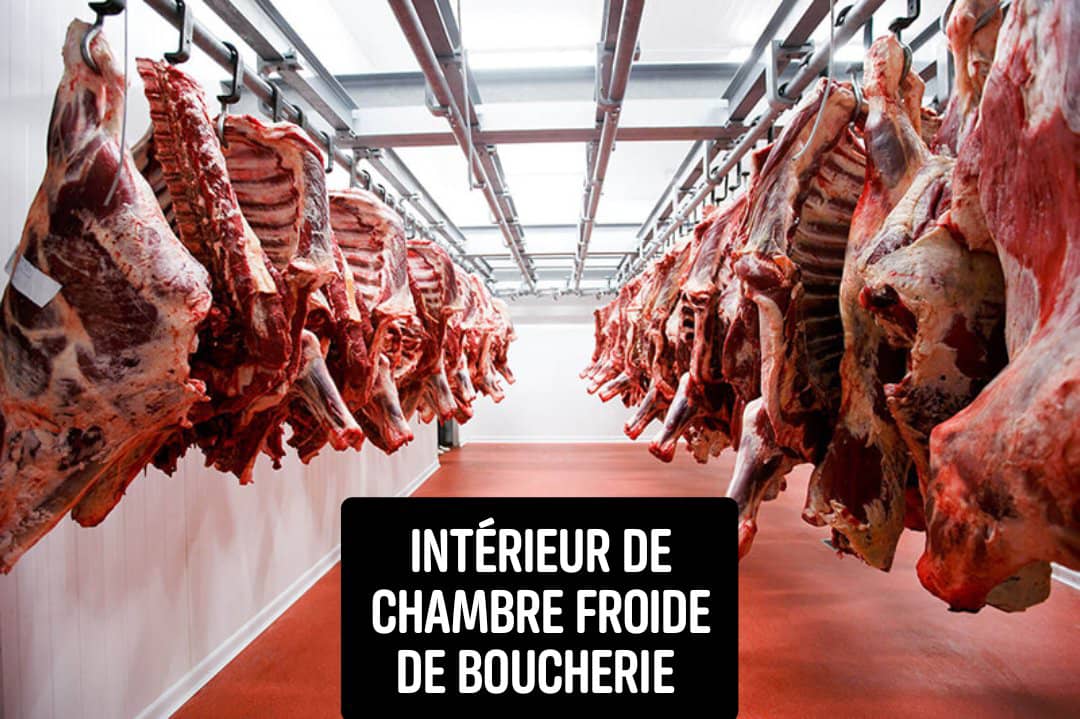 Chambre Froide Industrielle